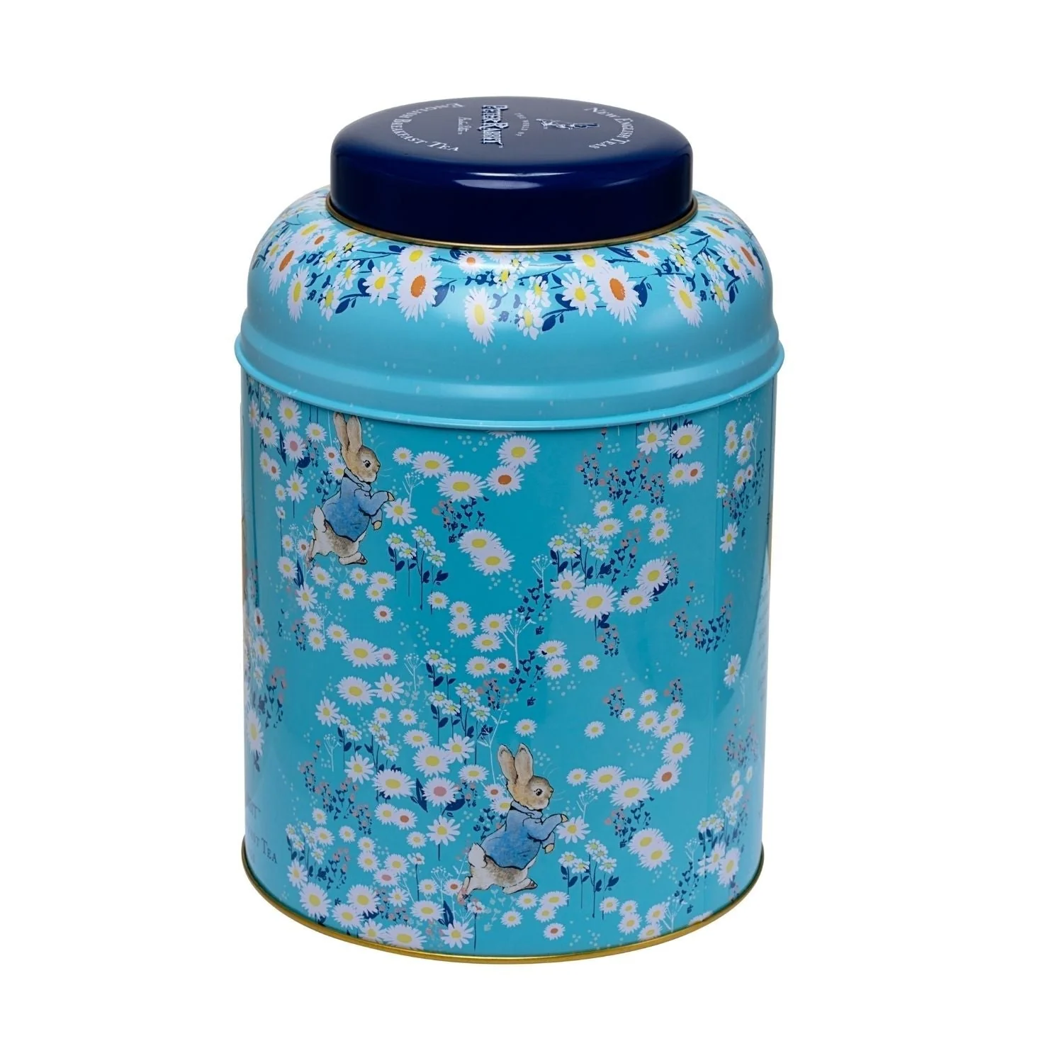 Beatrix Potter Deluxe Tea Caddy - Image 3